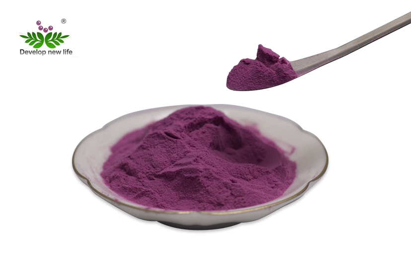 Acai Berry Extract Powder: The Amazon's Antioxidant King and Its Real Benefits